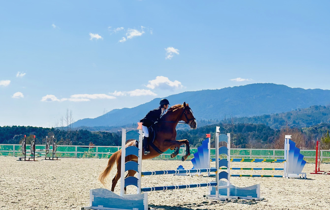 障害飛越馬場