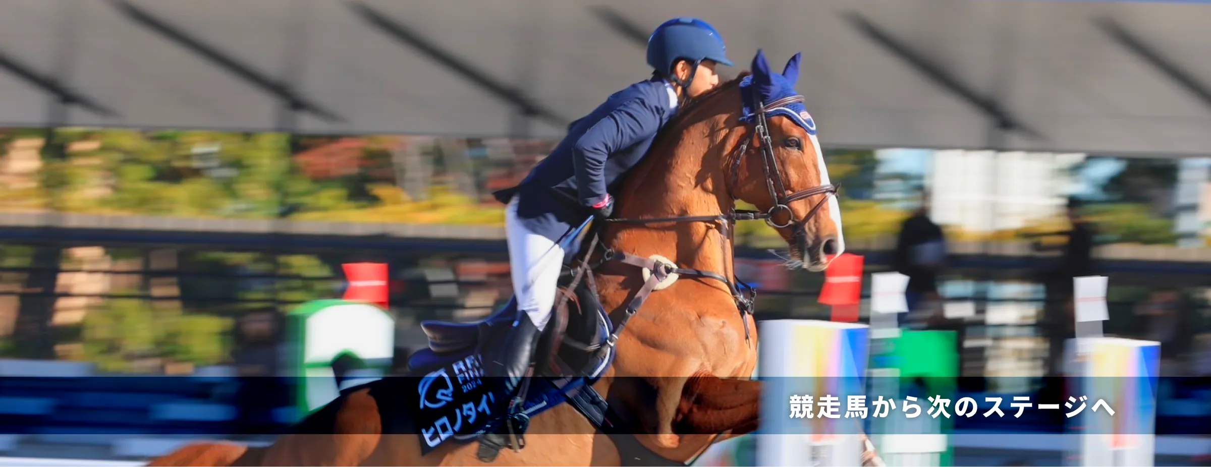 馬術競技の様子