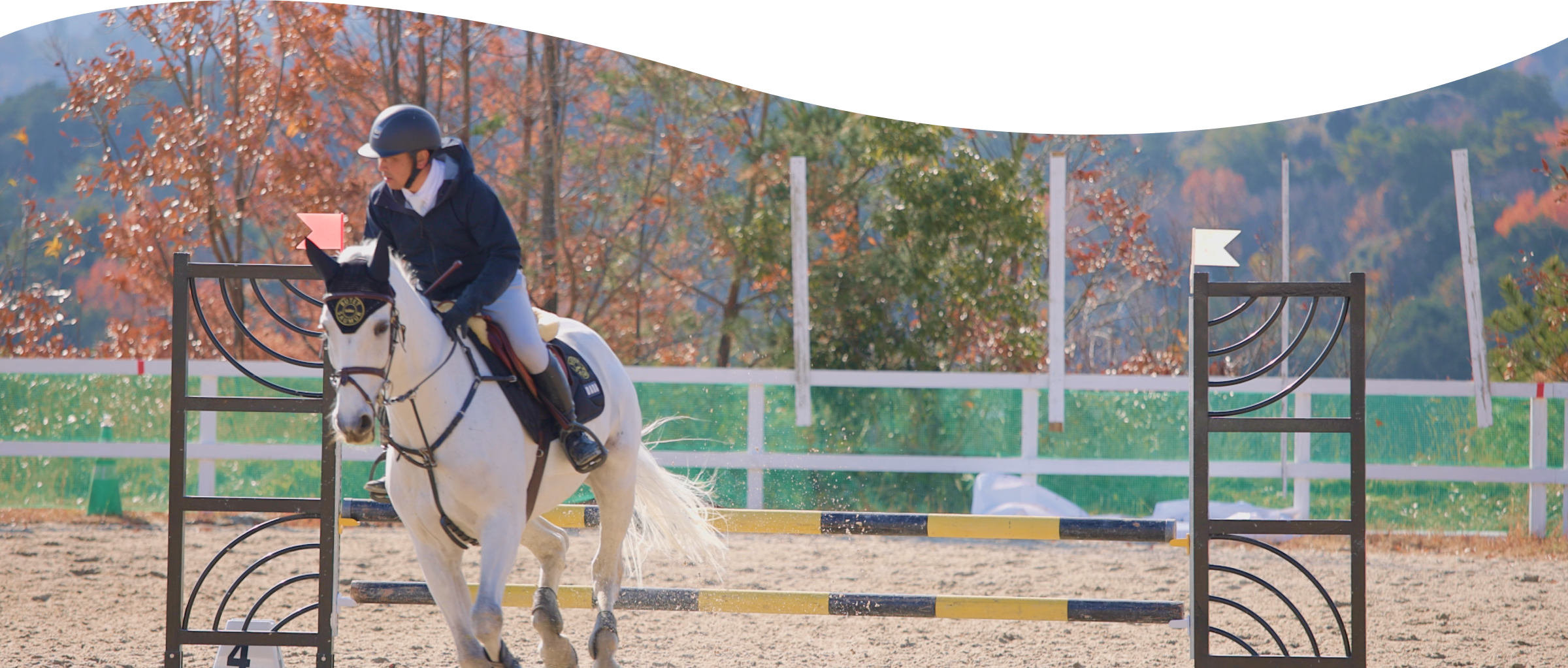 乗馬体験の様子