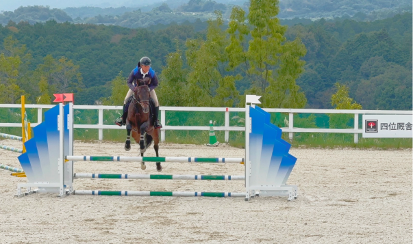 ホースショー風景