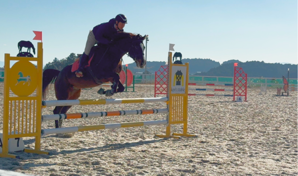 ホースショー風景