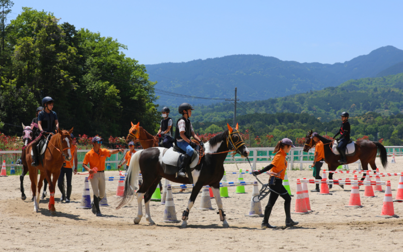 乗馬レッスン